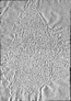 thumbnail of bitstream