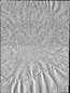 thumbnail of bitstream