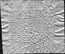 thumbnail of bitstream