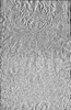 thumbnail of bitstream