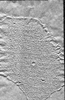 thumbnail of bitstream