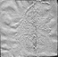 thumbnail of bitstream