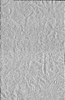thumbnail of bitstream