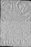thumbnail of bitstream